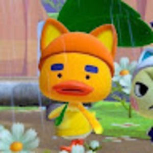 Meet your Posher, Miko